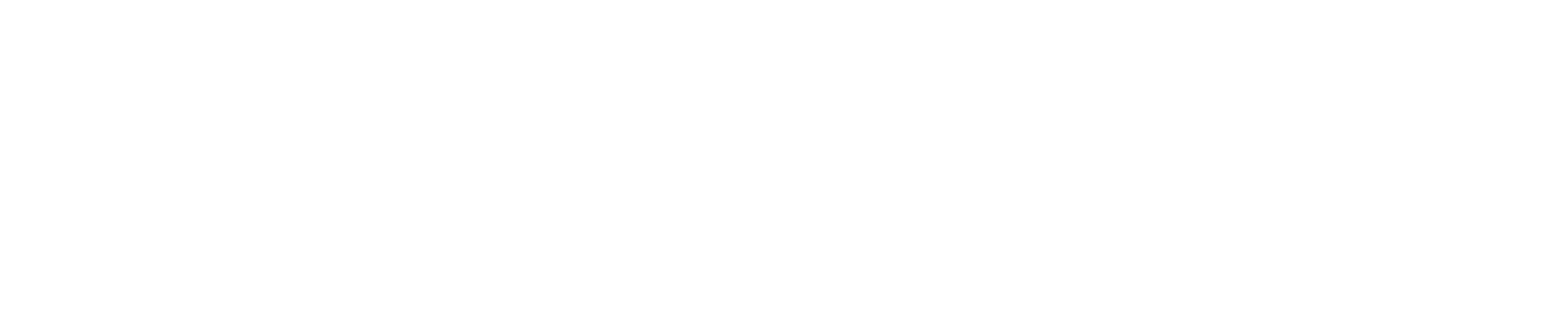 Necrotic Pixies site name with the zombie pixie head-wing logo in the center